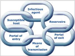 Fig. 1: The chain of infection model.